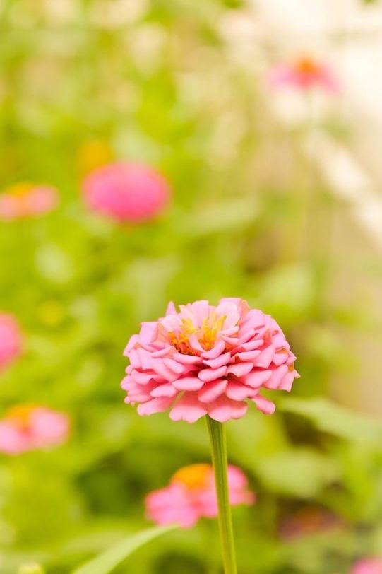 2018���³��삀�Ժ�������了��������